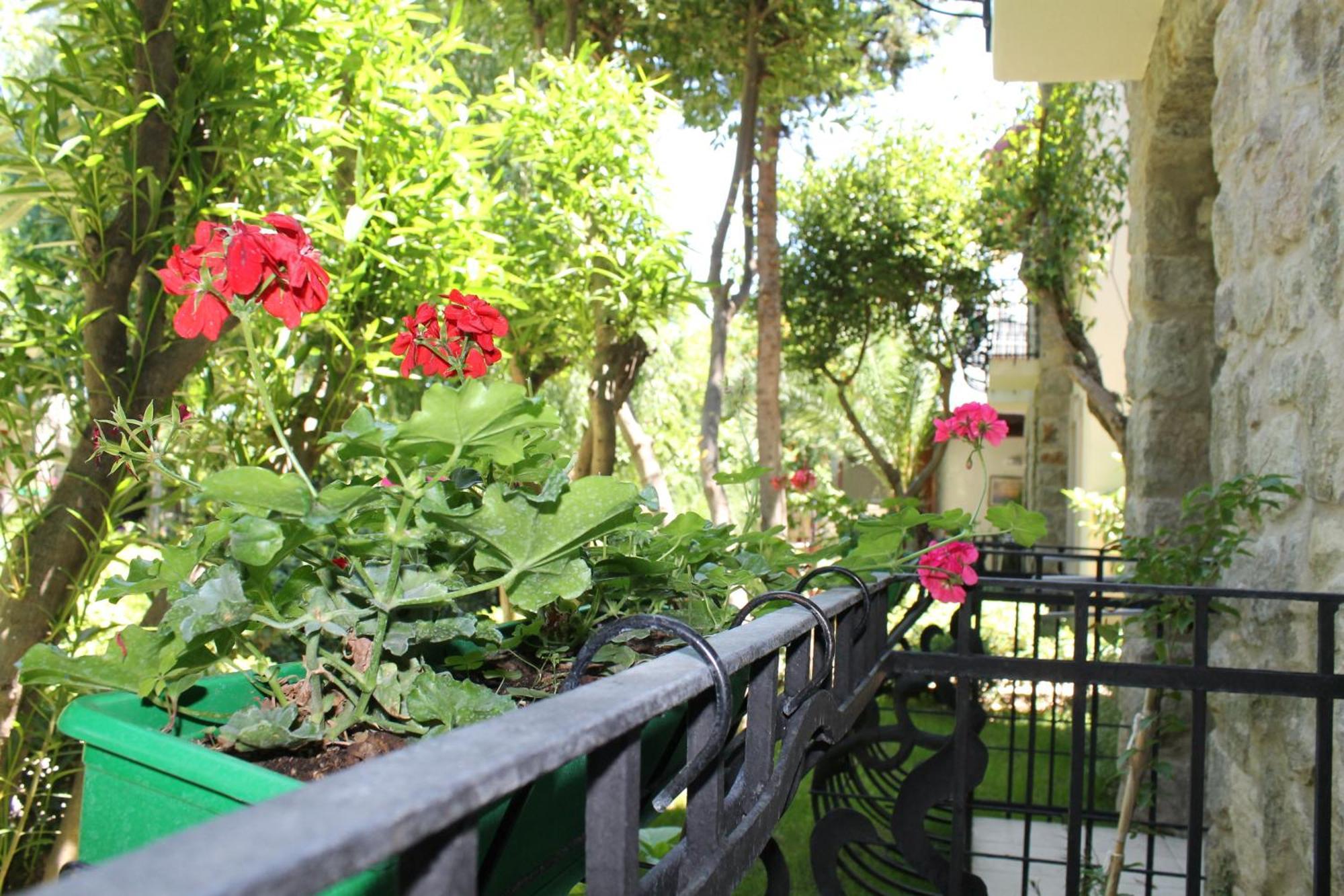 Bella Garden Hotel Bodrum Kültér fotó
